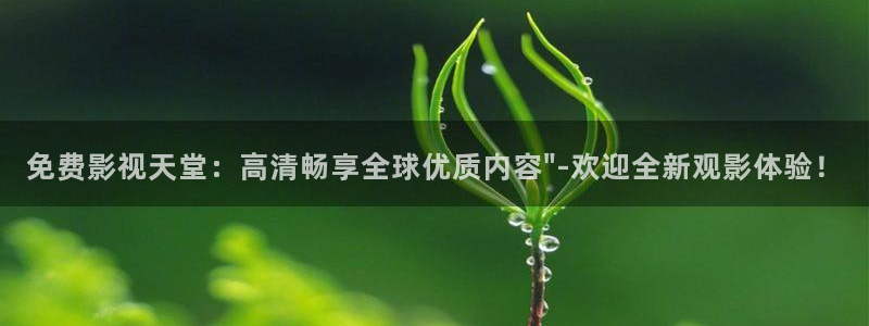 成人午夜在线视频观看