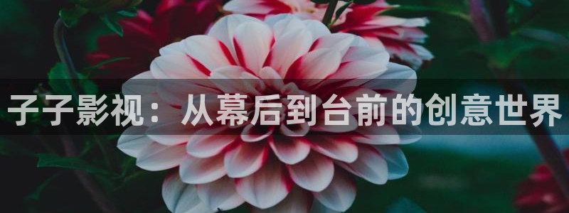 手机在线午夜电影
