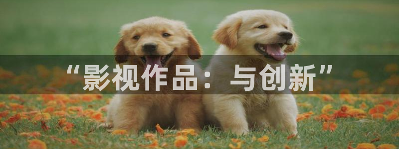 k8午夜电影
