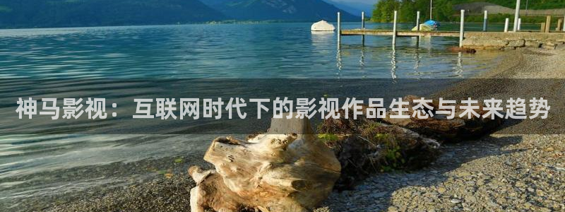成年人午夜看视频