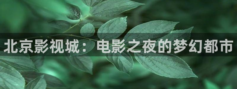 欧美午夜电影网址