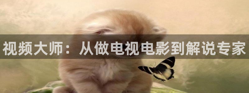 午夜片网