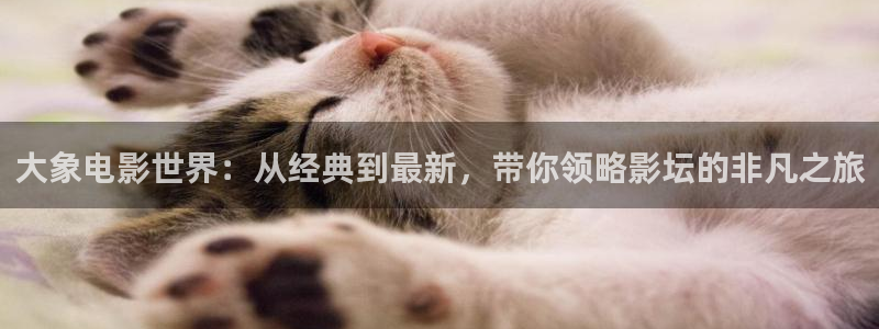 九九影院午夜理论片被窝电影网