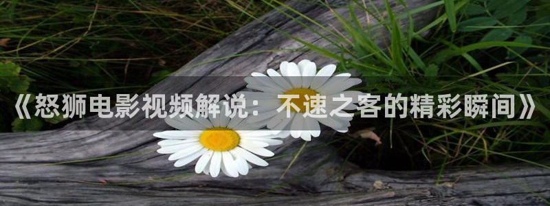 午夜dj免费完整在线看
