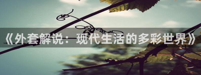 午夜看小片
