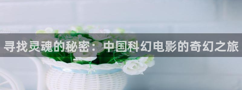 午夜精品在线观看
