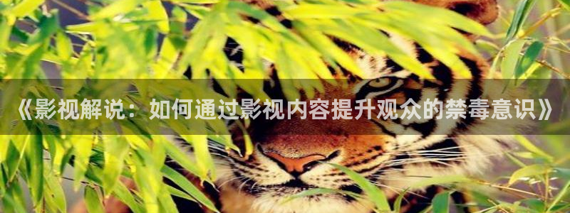 神马午夜理论电影