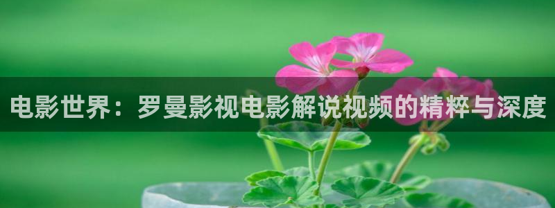 日韩午夜片