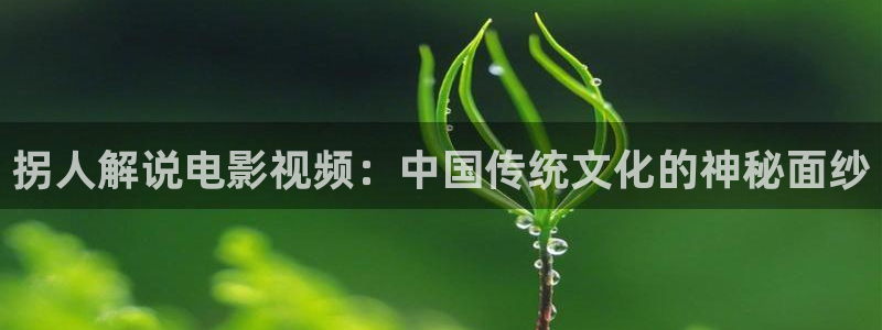 午夜a私人影院