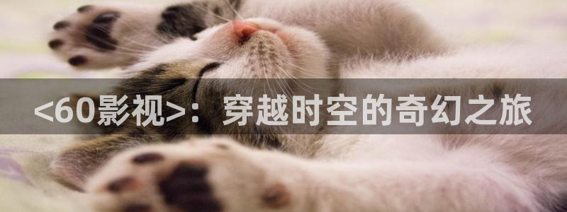 免费成人午夜大片