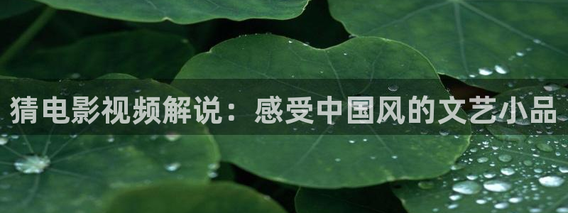 午夜片第一页