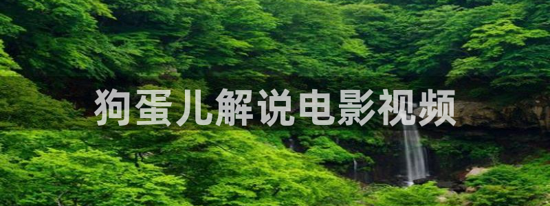 美女午夜大片 视频