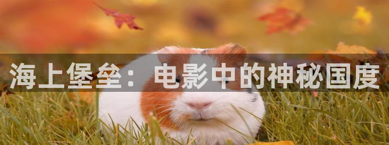 97影院理论午夜伦在线看