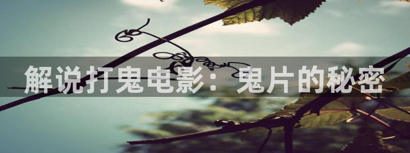 午夜影视在线播放