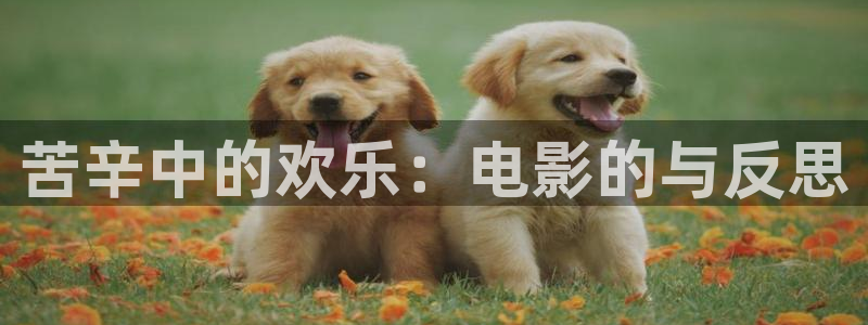 欧美午夜成午夜成年片在线观看