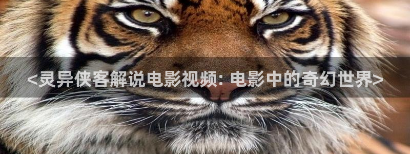 日本成年人午夜影院