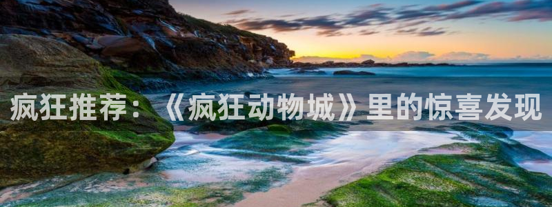午夜av黄色