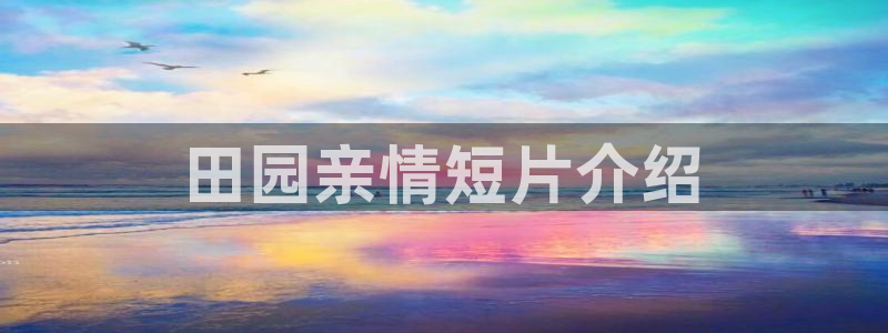 日韩午夜理论电影在线观看
